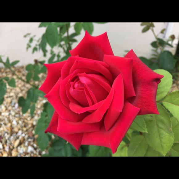 Meet your Posher, Kathleen - Picture 1 of 1